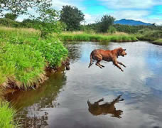 Zoe amazing leap!